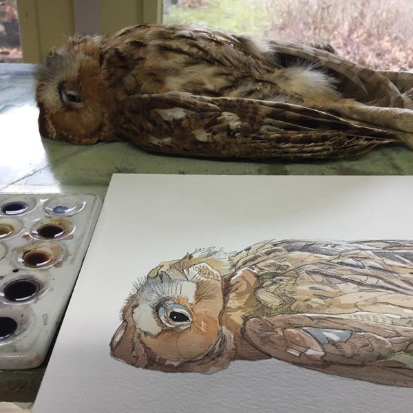 Techniques | Atelier Siemen & Elysia